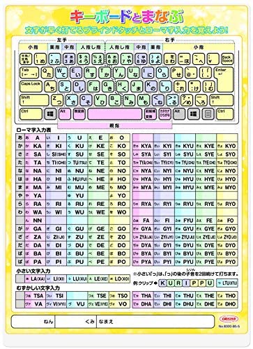新版 キーボードの配列やローマ字入力が学べる下敷き 共栄プラスチック キーボード下敷き B5 パソコンのキーボードの配列を暗記する 学習したじき ローマ字入力 プラスチック00 B5 5 小学生 授業 Transparencia Crisolita Mg Gov Br