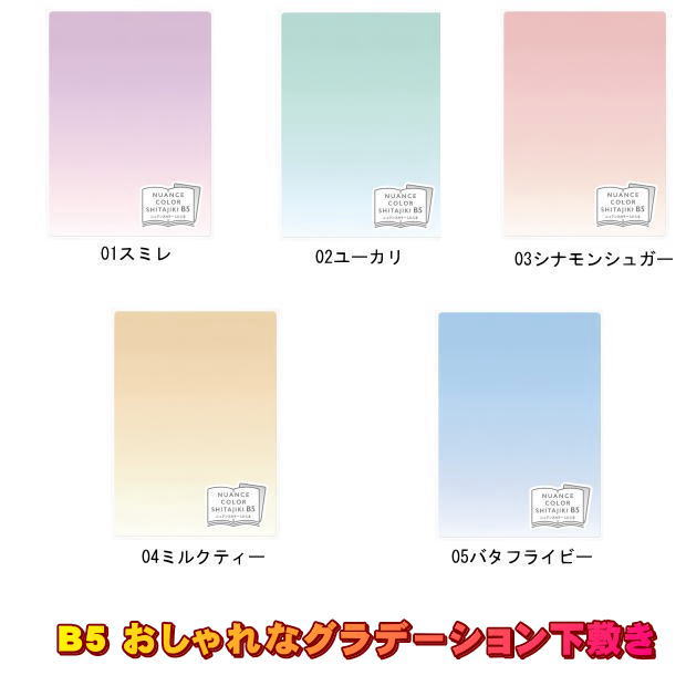 【楽天1位】おしゃれな下敷 B5グラデーション 大人の下敷 滑りにくく書きやすい したじき 学校 授業 中学生 社会人 NS-B5【ネコポス便対応】のサムネイル
