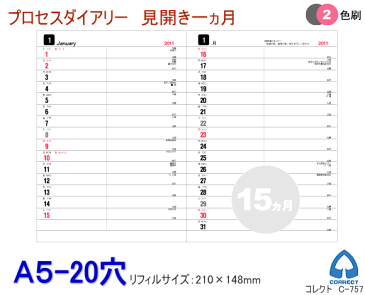 2020年ダイアリー ルーズリーフリフィル A5 20穴 C-757