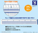 斜め目盛りの定規 30cm ひと目で分かる見やすいウェーブメモリ定規