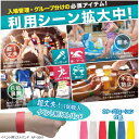 【楽天1位】イベント用リストバンド 使い捨てタイプ 展示会 運動会 セミナー コンベンション100本 NF-3567 ソニック