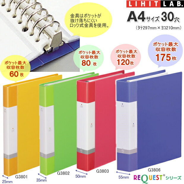 【楽天1位】バインダーファイル A4 30穴 付属ポケット35枚 大容量 クリアーポケットが沢山収納できる クリアーブック ルーズリーフ リヒトラブ G3803