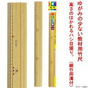 【楽天1位】竹尺30cm 竹製ものさし定規 算数 授業 小学生 TS003 【ネコポス便対応】