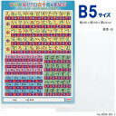 ひらがな下敷 五十音をまなぶ カタカナ・ローマ字 学習したじき