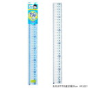 先生おすすめ直定規30cm 算数の授業におすすめの定規 小学生 算数 図工 リビガク APJ257