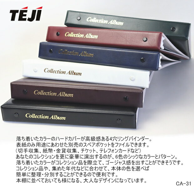 ���쥯����󥢥�Х� ɽ��Τ� B5 4�� �Х������ �ơ����� CA-31 �ڼ� ��ʾ ������ ������ �����å� ���� ��¸ �ե����� ���䤻�� �������ޥ��� ���쥿��ɽ�� CA-302���