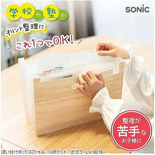 ��ӥ��� �ݤ�ʬ���ܥå����ե����� A4 13�ݥ��å� ���˥å� LV-6276-I ����Х鼰 ��Ω �ɥ�����ȥ������ �ץ������� ��Ǽ ������ �ع� �� ���ؤ� ���ڤ꥿���� ����Ĵ �������ǥ�����