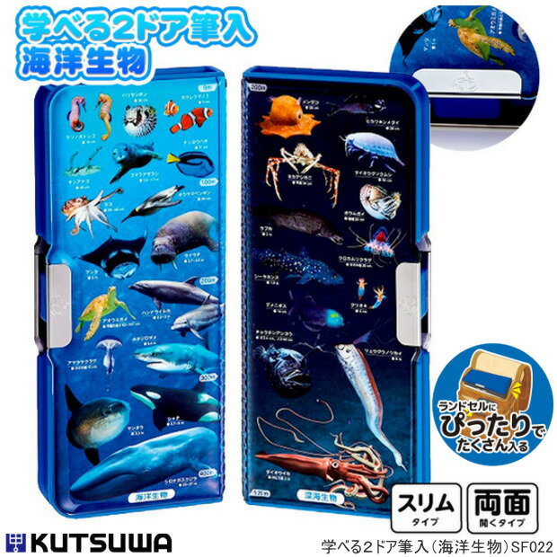 楽天市場】不思議な 筆箱（筆記具｜文房具・事務用品）：日用品雑貨