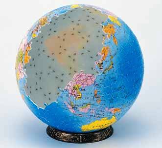 3-D球体パズル地球儀540p（日本語版）のサムネイル