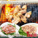 国産鶏BBQセット(冷凍)鶏肉900g+焼き鳥10本+焼肉のタレ 桜姫若鶏もも肉 こにく(せせり) とりハラミ 若鶏もも串 親鳥もも串(じゅんけい) 焼肉 バーベキュー