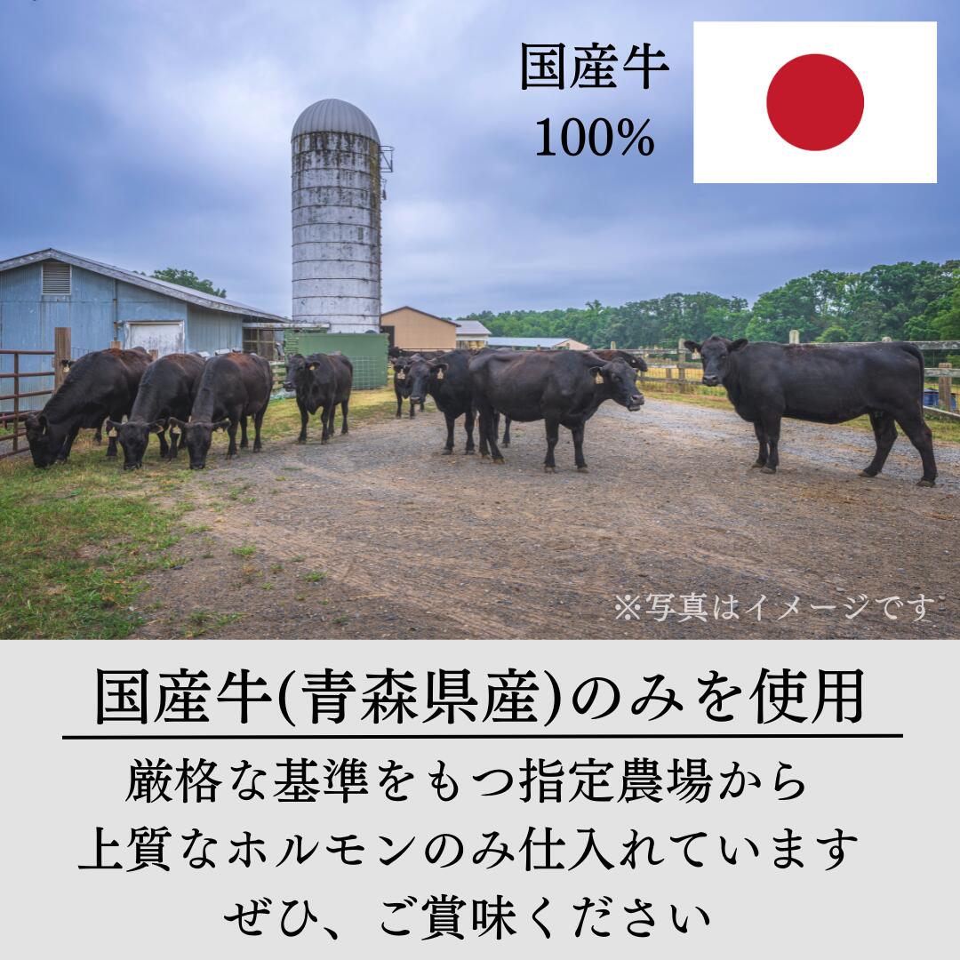 国産 牛ホルモン3種（500g）＋牛ミノサンド（200g）＋牛上ミノ（200g）セット シマ...