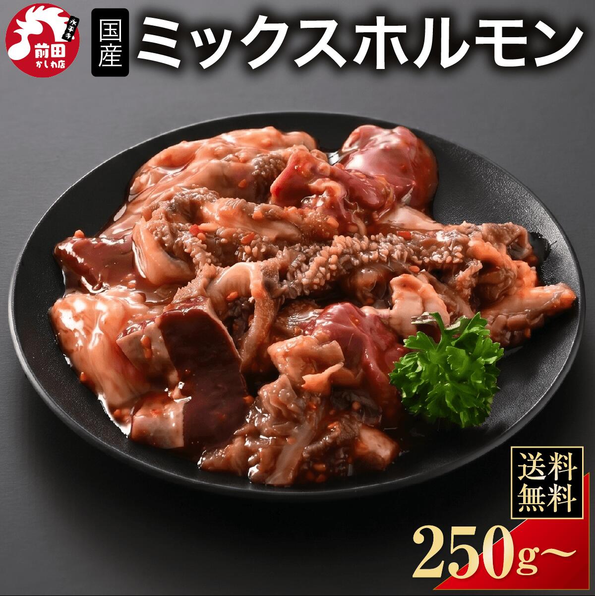 牛タン入り！特製タレ漬け 国産 10種の牛ミックスホルモン[250g～](冷凍) ミックスホルモン 牛ホルモン 希少部位 皮付きミノ センマイ フワ ハツ ハチノス ギアラ チレ テッポウ シーカム 牛もつ モツ BBQ バーベキュー 焼肉