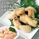 maekashi:10000193のサンプル画像3