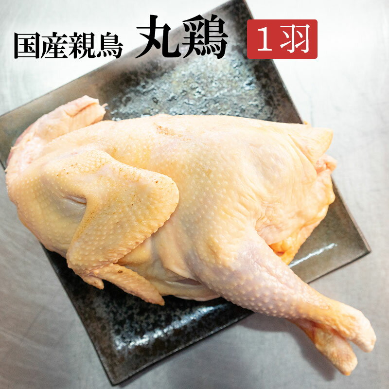 国産親鳥 丸鶏（中抜き）[1.2kg前後](冷凍) 丸どり 丸鳥 国産鶏 親鶏 おやどり おや鳥 おや鶏 親どり ..