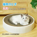 ペット用品 猫爪とぎ 人気 時空コンパス 交換可能 スクラッチャー 猫おもちゃ 猫ベッド ストレス解消 爪磨き