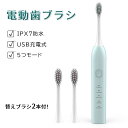 電動歯ブラシ 替えブラシが安い 充電式 電動音波歯ブラシ 音波式 お携帯ケース コスパがいい 高級感 携帯用 旅行用 音波歯ブラシ(2)