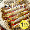 【価格変動商品】 子持ちししゃも 加熱用 4L 23/25 約40~50尾入り【1キログラム入】