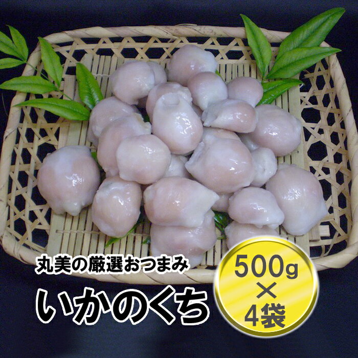 【送料無料】 青森県産いかのくち 500g×4パック入