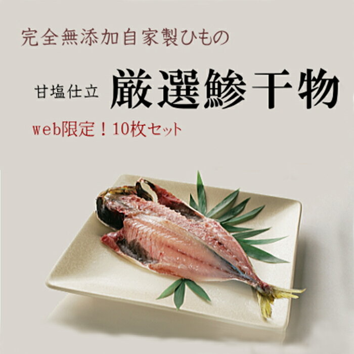 【伊豆半島Web物産展】【1000円OFFクーポン対象】完全無添加 自家製ひもの 甘塩仕立 厳選鯵干物・中サイズ 10枚セット