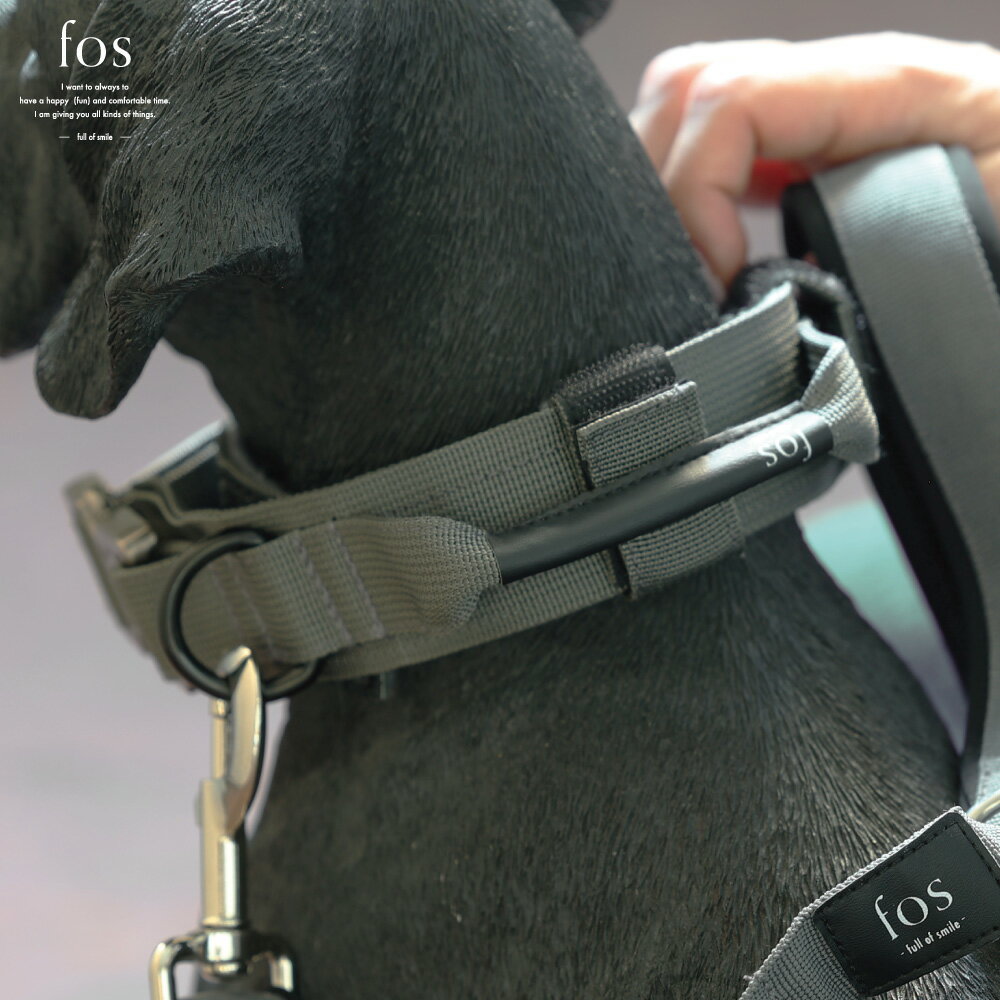 犬 首輪 丈夫な素材 シックなデザイン 中型犬 大型犬 Noble Collar ( ノーブルカラー )