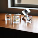 立体 昆虫 標本 アイアン スタンド 蝶 サソリ 蜂 HUNT9 Casimir ( カシミール )