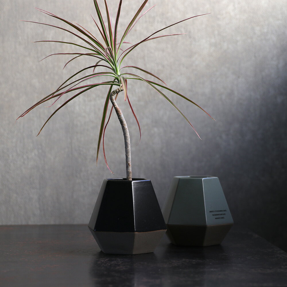 【54％OFF！】Goya ( ゴヤ ) フラワーベース フラワーポット 六角形 植物 底に穴 HUNT9