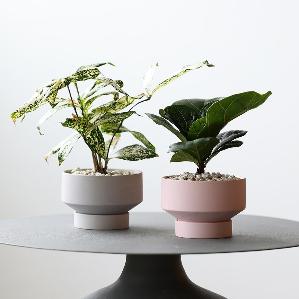 Pim ( ピム ) セラミック 鉢 植物 シンプル 近代的 フォルム 受け皿 HUNT9