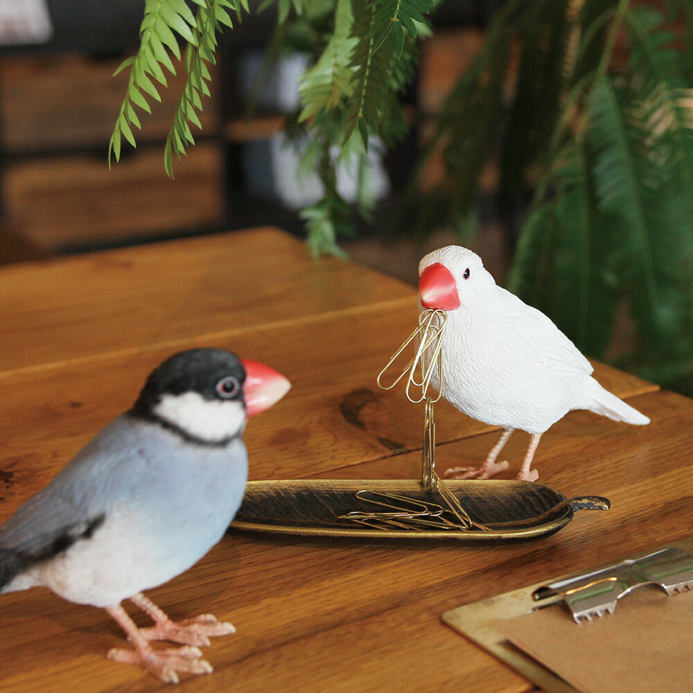 BIRDIE BILL JAVA SPARROW ( バーディ ビル ジャバ スパロー ) 文鳥 オブジェ 置物 リアル