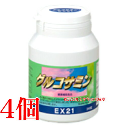 EX21꡼ 륳ߥ 240γ 4 