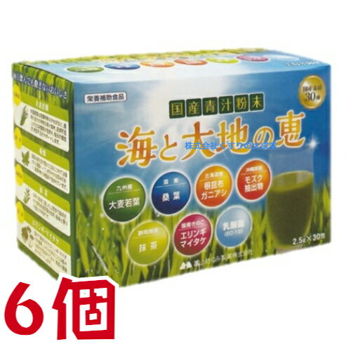 15時までのご注文【あす楽対応】 広貫堂 青汁粉末 国産青汁粉末 海と大地の恵 30包 6個 富山めぐみ製薬 1