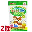 おいしいDHA＆イチョウ葉 90粒 2個 栄養機能食品 （ビタミンB1） 佐藤薬品工業