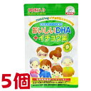 おいしいDHA＆イチョウ葉 90粒 5個 栄養機能食品 （ビタミンB1） 佐藤薬品工業