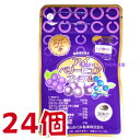 15時までのご注文【あす楽対応】 アイベリーピュア プレミアム 30粒 24個 富山めぐみ製薬 旧 広貫堂 アイベリーピュアEX アイベリー ピュア 廣貫堂