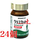 ウリ スカット プラス 60粒 24個 佐藤薬品工業 商品の期限2027年8月