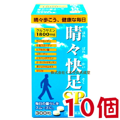 広貫堂 晴々快足SP 300粒 10個 廣貫堂旧 晴々快足EX 商品の期限は2026年7月