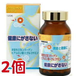 ヒアルロンサンV プレミアム 120粒 2個 明治製薬 ヒアルロンサンVプレミアム 商品の期限は2024年10月