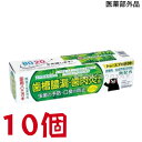 トゥースプロテクト 100g 10個 テイカ製薬 医薬部外品 薬用歯みがき