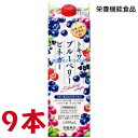 13時までのご注文【あす楽対応】 トキワ ブルーベリービネガー 9本 常盤薬品 ノエビアグループ 栄養機能食品 ビタミンB1 ビタミンB2 ビタミンB6 ナイアシン