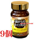 畑からのおくりもの 180粒 9個 中部薬品 イヌリン