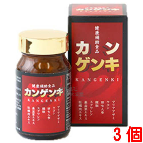 13時までのご注文【あす楽対応】 カンゲンキ 240粒 3個 中部薬品