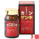 13時までのご注文【あす楽対応】 カンゲンキ 240粒 3個 中部薬品 1