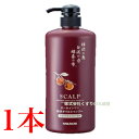 スカルプ オールインワン 柿渋オイルシャンプー 600ml 1本 中一メディカル Nakaichi