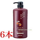スカルプ オールインワン 柿渋オイルシャンプー 600ml 6本 中一メディカル Nakaichi