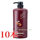 スカルプ オールインワン 柿渋オイルシャンプー 600ml 10本 中一メディカル Nakaichi
