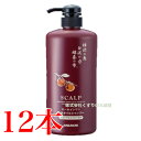 スカルプ オールインワン 柿渋オイルシャンプー 600ml 12本 中一メディカル Nakaichi