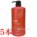 液体 柿渋ボディソープ 600ml 5本 中一メディカル Nakaichi