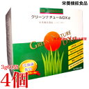 グリーンナチュールDXα 3g 60袋 4個 旧 グリーンナチュール DX 栄養機能食品 (ビタミンB12) 第一薬品工業(4)