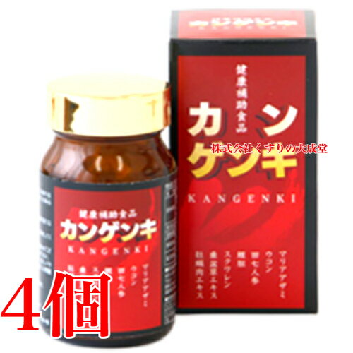 13時までのご注文当日発送 カンゲンキ 240粒 4個 中部薬品