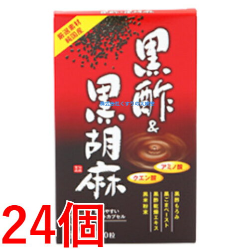 黒酢&黒胡麻 60粒 24個 中部薬品 旧 黒酢&胡麻