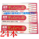 リニューアル 薬用 ぎょくせい 80 115g 24個 サンスター 歯周病予防 医薬部外品 薬用歯磨き粉 薬用ぎょくせい